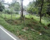 Lewalla, Kandy, ,Land,For Sale,1025